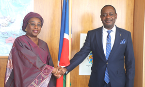 Namibia disappointed by U.S. veto of UN membership for Palestine