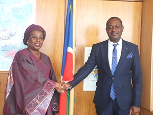 Namibia disappointed by U.S. veto of UN membership for Palestine
