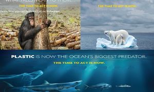 NatGeo rolls out 5 Earth Day videos to inspire people to become change makers