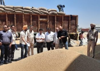 Deputy Commissioner Conducts Surprise Visit to Fazilka Grain Market, Ensures Smooth Procurement Process