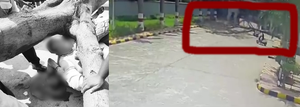 Man killed, wife injured as tree falls on them on Secunderabad hospital’s premises