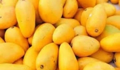 Mangoes Image - Wishavwatatimes.com