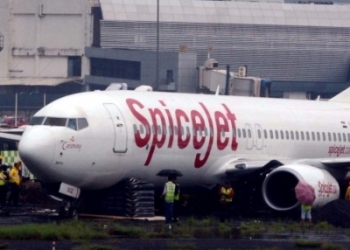 SpiceJet flight to Leh returns to Delhi after engine hit by bird