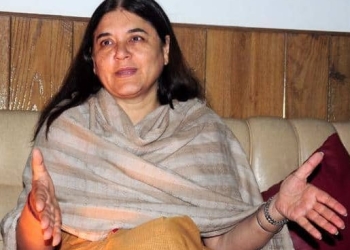 Maneka Gandhi’s assets worth Rs 97.17 crore