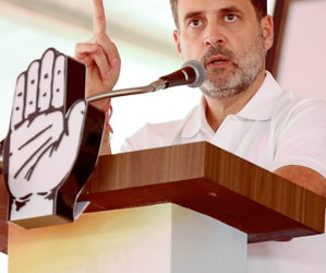 Rahul Gandhi leads with decisive margin from Raebareli, Sharma leads in Amethi