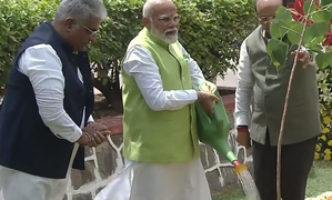 On World Environment Day, PM Modi’s ‘Ek Ped Maa Ke Naam’ campaign