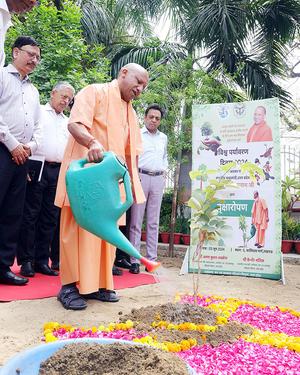 CM Yogi Adityanath plants a sandalwood sapling on World Environment Day