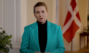 Danish PM attacked in Copenhagen, man arrested 