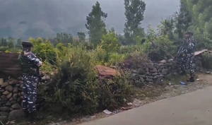 One terrorist killed in encounter with security forces in J&K’s Bandipora 