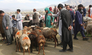 Afghans celebrate Eid al-Adha amid tight security