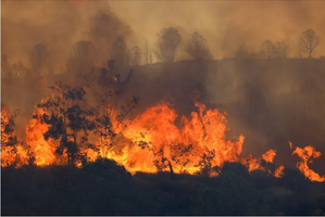 Death toll in forest fire in Turkey mounts to 11