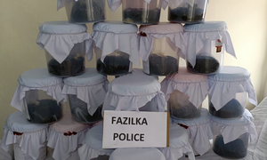 Punjab Police bust interstate drug smuggling syndicate, arrest man from Jharkhand
