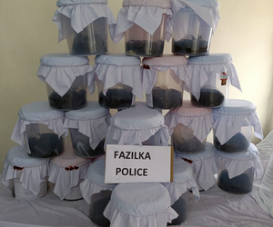Punjab Police bust interstate drug smuggling syndicate, arrest man from Jharkhand