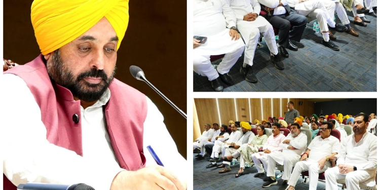 Don’t fell prey to fraudsters who dupe people by seeking money for government jobs: CM urges youth