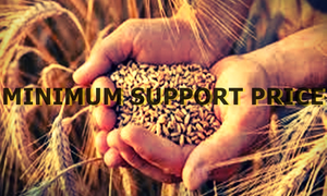 Govt buys 266 lakh tonnes of wheat at MSP; Rs 61 lakh crore credited to farmers’ accounts