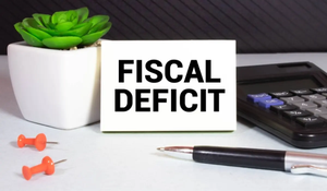 Union Budget: FM cuts fiscal deficit to 4.9 pc to keep economy on stable growth path