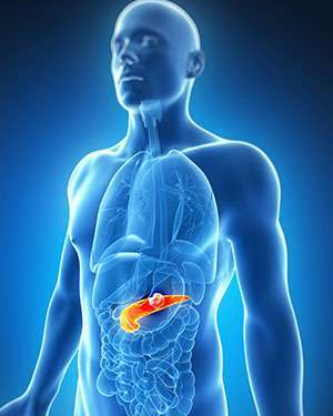 Novel method to counter chemotherapy resistance in pancreatic cancer developed