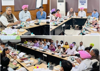 PUNJAB WITNESSES INCREASE IN AREA UNDER FISH FARMING: GURMEET SINGH KHUDIAN