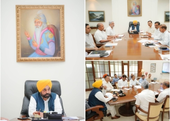 PLANT ATLEAST FOUR TREES AROUND YOUR TUBE WELLS: CM EXHORTS FARMERS