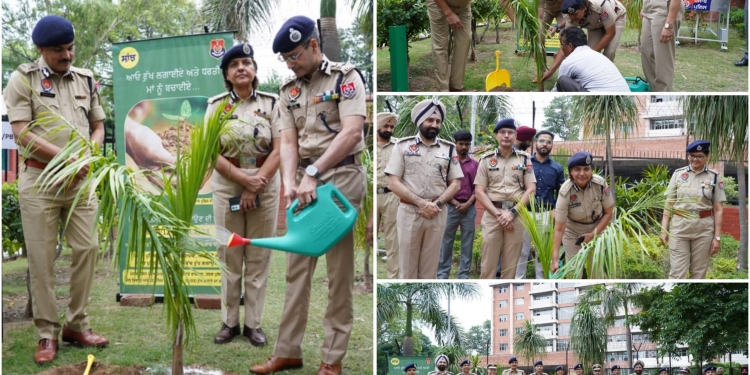 PUNJAB POLICE LAUNCHES PLANTATION DRIVE TO WELCOME MONSOONS, DGP PUNJAB PLANTS ‘BOTTLE PALM’ SAPLING AT PPHQ