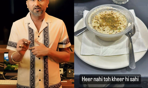 Yo Yo honey Singh