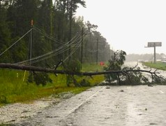 Australia News: Thousands left without power after severe storms in Victoria