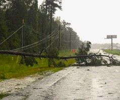 Australia News: Thousands left without power after severe storms in Victoria