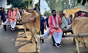 Haryana News: Haryana CM rides bullock cart to get connected at grassroots