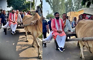 Haryana News: Haryana CM rides bullock cart to get connected at grassroots