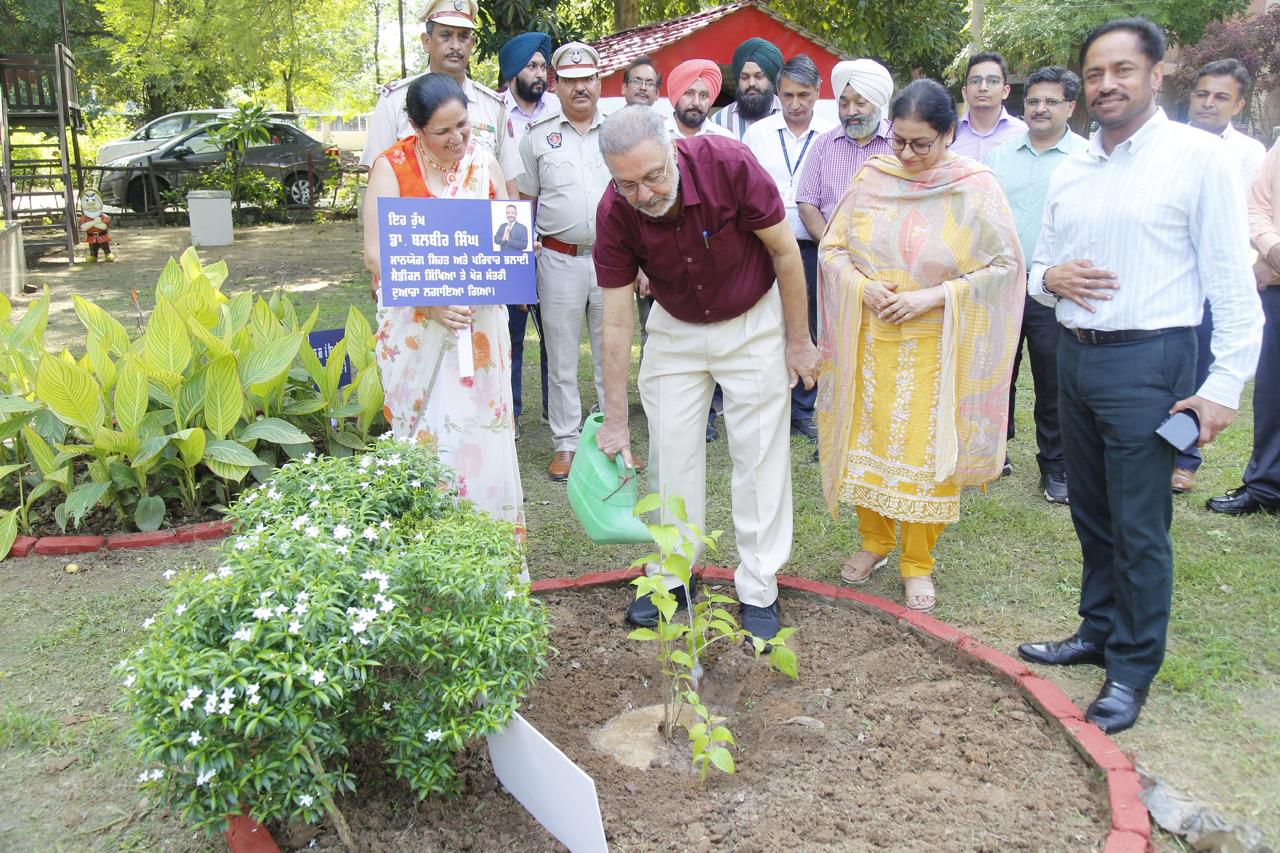 Punjab News: Health Minister Launches Tree Plantation Drive at AIMS Mohali