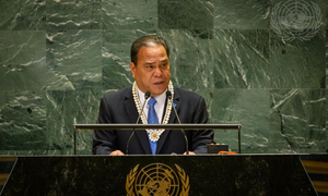 India’s UNSC permanent seat bid gets more endorsements