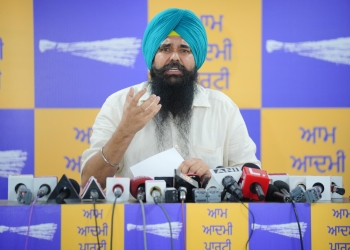 BJP using its MPs to make provocative statements and create social tension - AAP