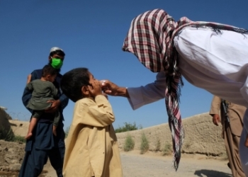 Taliban suspends polio vaccination in Afghanistan: UN