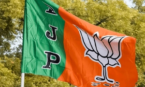 BJP names 40 star campaigners for Bihar bypolls