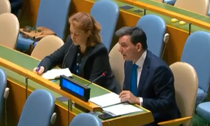 Australia’s UN vote in favour of Palestinian sovereignty ‘building momentum’ towards two-state solution: minister