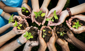 Baku climate talks: India part of US-UAE co-led $29.2bn fund for climate-smart agriculture