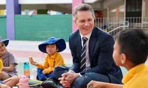 Australian govt orders national review into school bullying