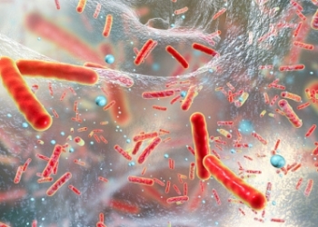 New species of superbug behind spike in severe human infections