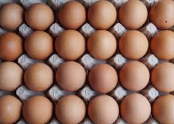 US egg prices soar to yearly high amid bird flu, holiday demand