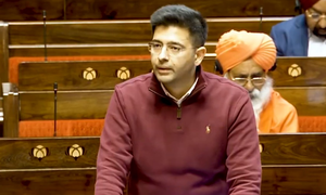 Farmers burn stubble out of compulsion: Chadha lists solutions to curb farm fires