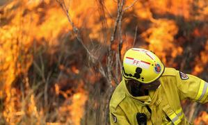 Australia prepares for catastrophic bushfire over Christmas period