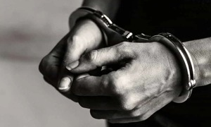 Punjab Police arrest two for grenade attack on police station