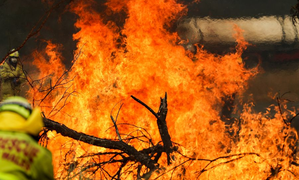 Three homes destroyed in major bushfire in Australia