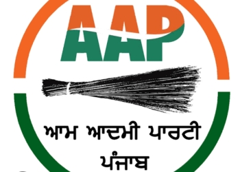 AAP Announces First List With 784 Candidates for Urban Local Bodies Elections