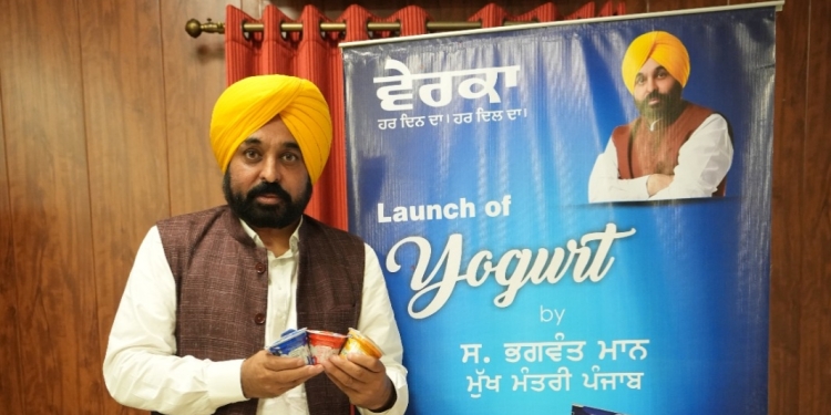 Punjab: Milkfed further strengthens due to strenuous efforts of CM Bhagwant Mann