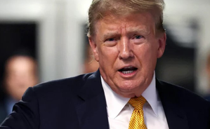 ‘Can understand Russia’s feelings’ about Ukraine’s NATO aspirations: Trump