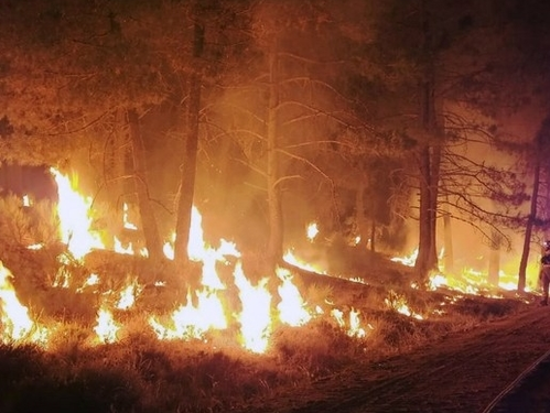 Tragic toll: At least 11 confirmed dead as wildfires ravage Los Angeles