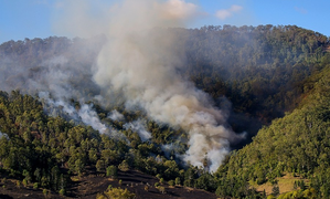 Australia: Bushfires in Tasmania pose threat to lives