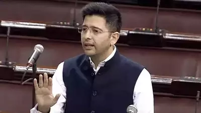 MP Raghav Chadha responds to charges levelled against him by Finance Minister Nirmala Sitharaman