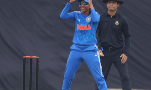 Cricket